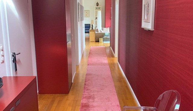 Luxury roof top apartment with parking and AC in the city center
