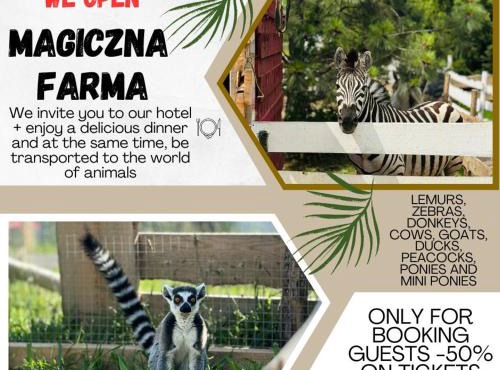 Magiczna Farma Hotel Obiady Mąka i Magia