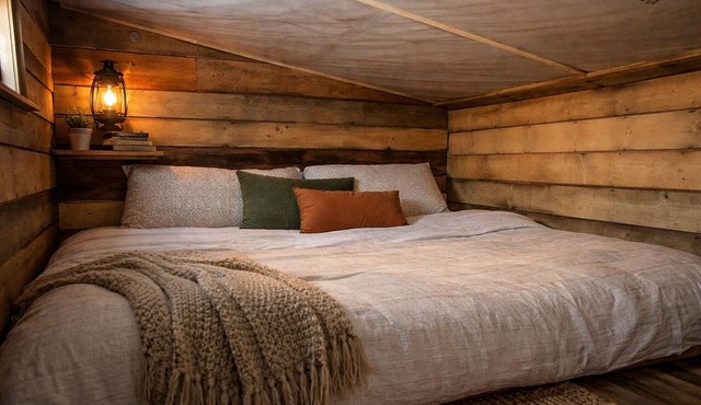 Maple, the tiny cabin in the woods in Markdale