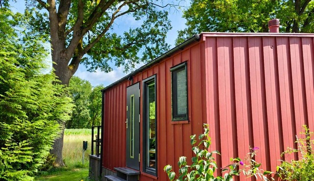 Mobile home for 2 guests with 15m² in Bleckede (265260)