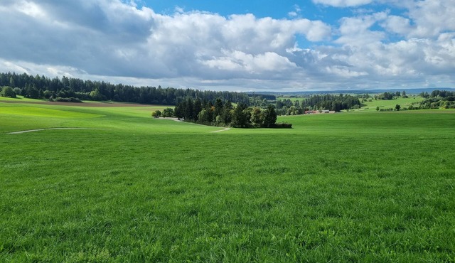 Modern Eingerichtete 3-zi.-ferienwohnung zu Vermieten in Löffingen