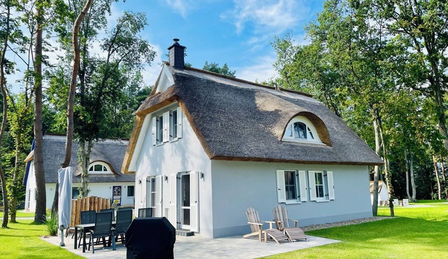 Modern Eingerichtetes Reetdachhaus mit Einladender Terrasse