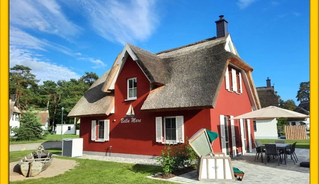 Modern thatched Baltic Sea holiday home on Usedom with sauna, fireplace & sun terrace