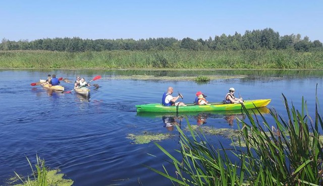 POLE NAMIOTOWE nad rzeką BIEBRZA w GONIĄDZU