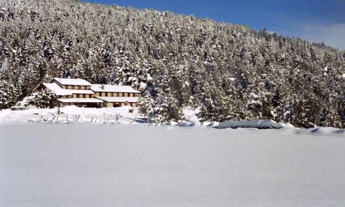 Refugi Cap del Rec in Lles