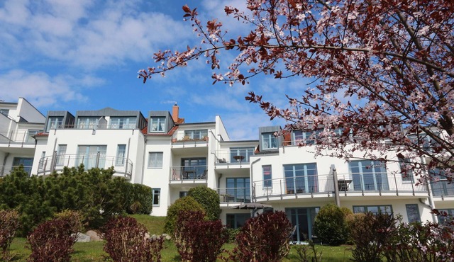 Residence Bellevue Apartment 33 - Apartment. cc Herrmann - Whg. 33, ground floor, 2-rooms, Zinnowitz