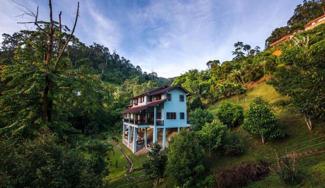 Rest Pause Rainforest Retreat