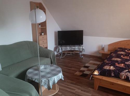 Schmidt Apartment