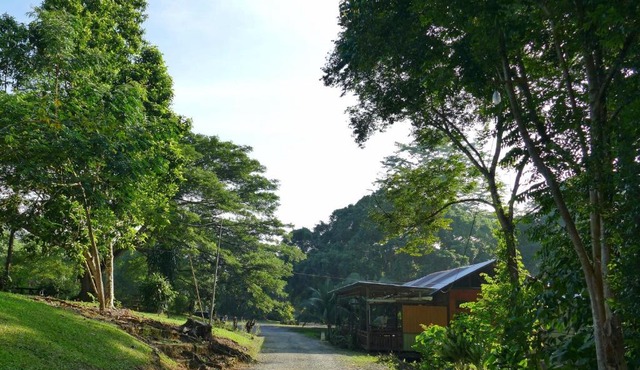 Sepilok B&B