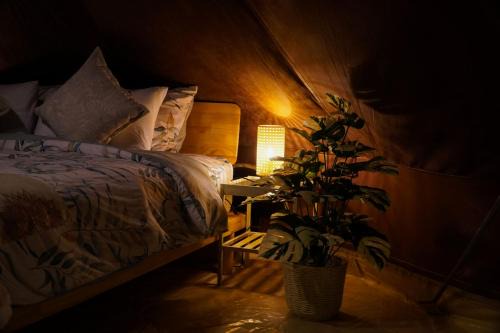 SkyTree Glamping - Huda's Haven