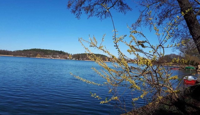 Spacious apartment with lake view and lake access, own boat