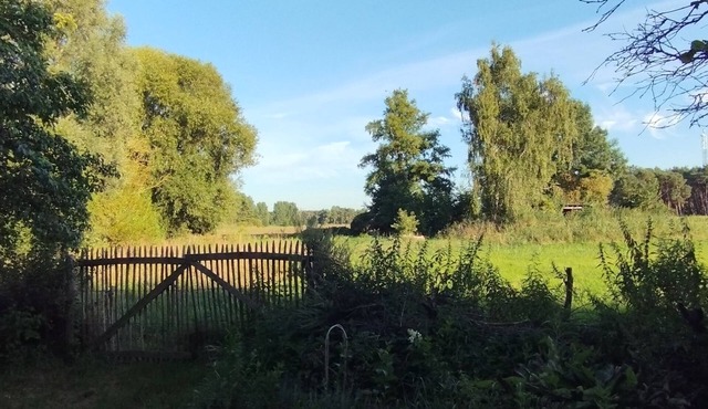 Summer barn with lots of nature