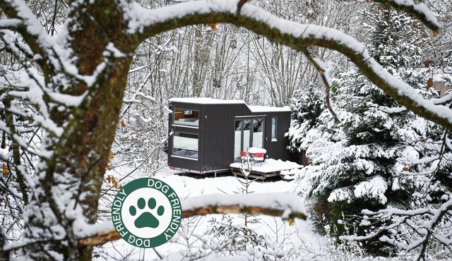Sustainable vacation with a dog at the Green Tiny House Nature 4 in Osterode am Harz