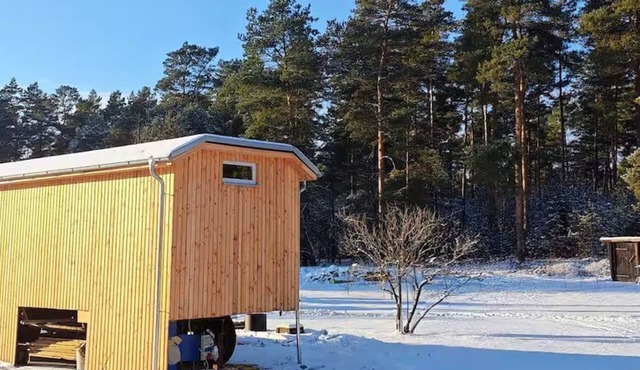 Tiny house on the edge of the forest, temporary getaway - vacation apartments in Heideblick