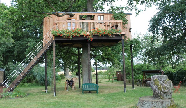 Tree house in 200-year-old oak - share with all the other tree dwellers KEINEHUNDE