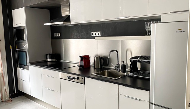 Unique and Spacious Apartment in Downtown, sights within walking distance- 2 A/C