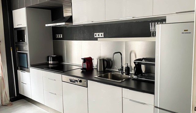 Unique and Spacious Apartment in Downtown, sights within walking distance- 2 A/C