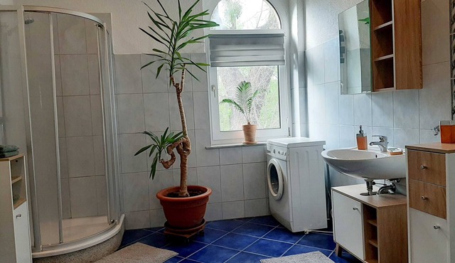 Vacation apartment at the Stadtpark Rosenblüte - Ferienwohnungen am Stadtpark