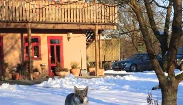Vrbo Property