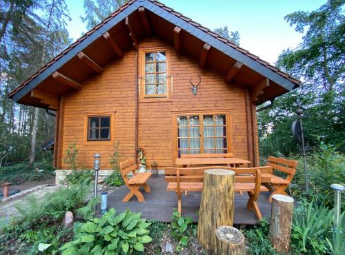 Waldhaus Eichhörnchen