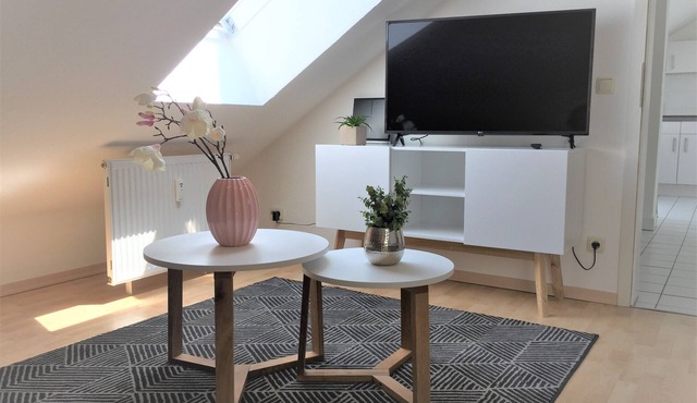 Zwillingsperlen Leutzsch Appartement Villenblick