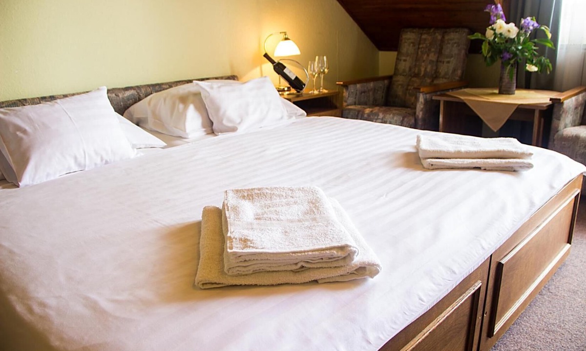 Szechenyihegy Hotel | Hotel Molnár