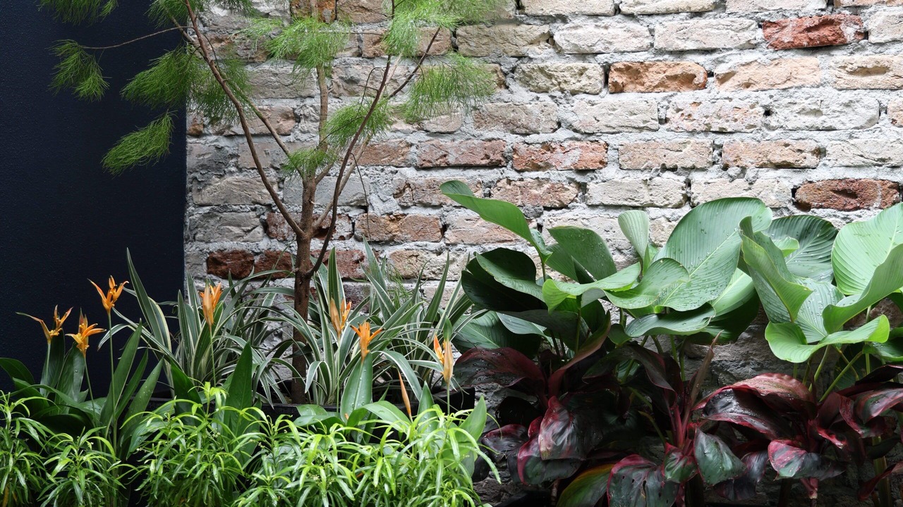 Photo of Outdoor in Chinatown