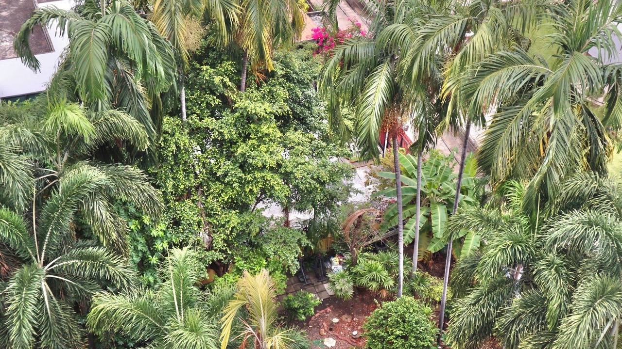 Photo of Outdoor in Asoke