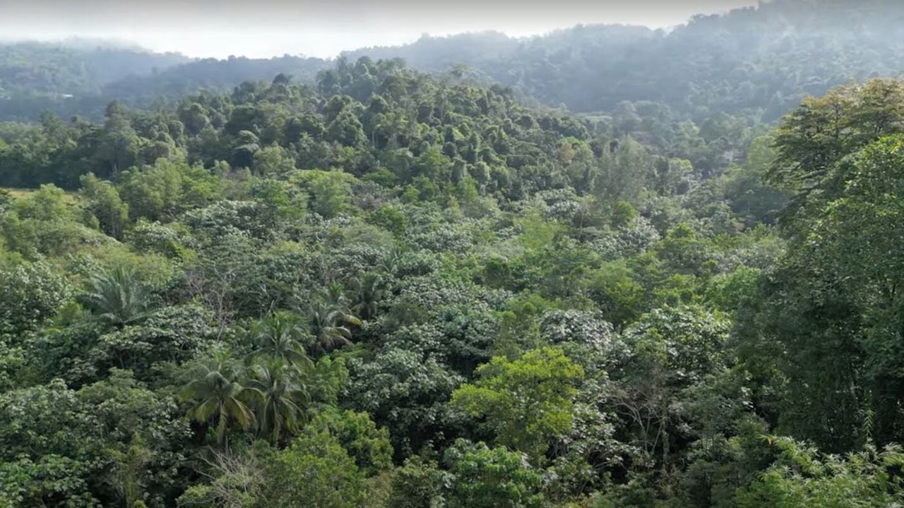 Photo of Outdoor in Hulu Selangor