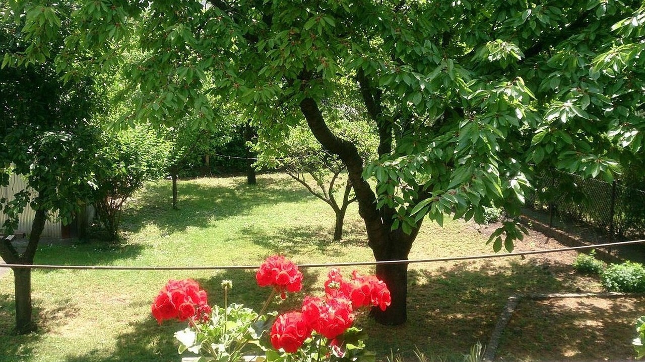 Photo of Outdoor in Zuglo
