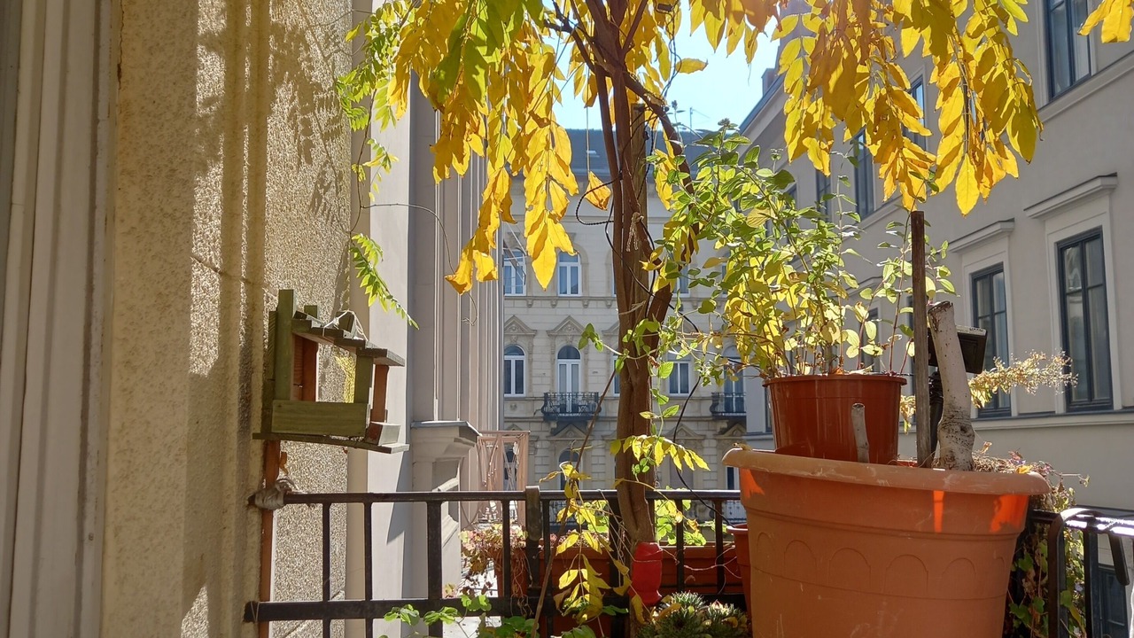 Photo of Outdoor in Ujlipotvaros