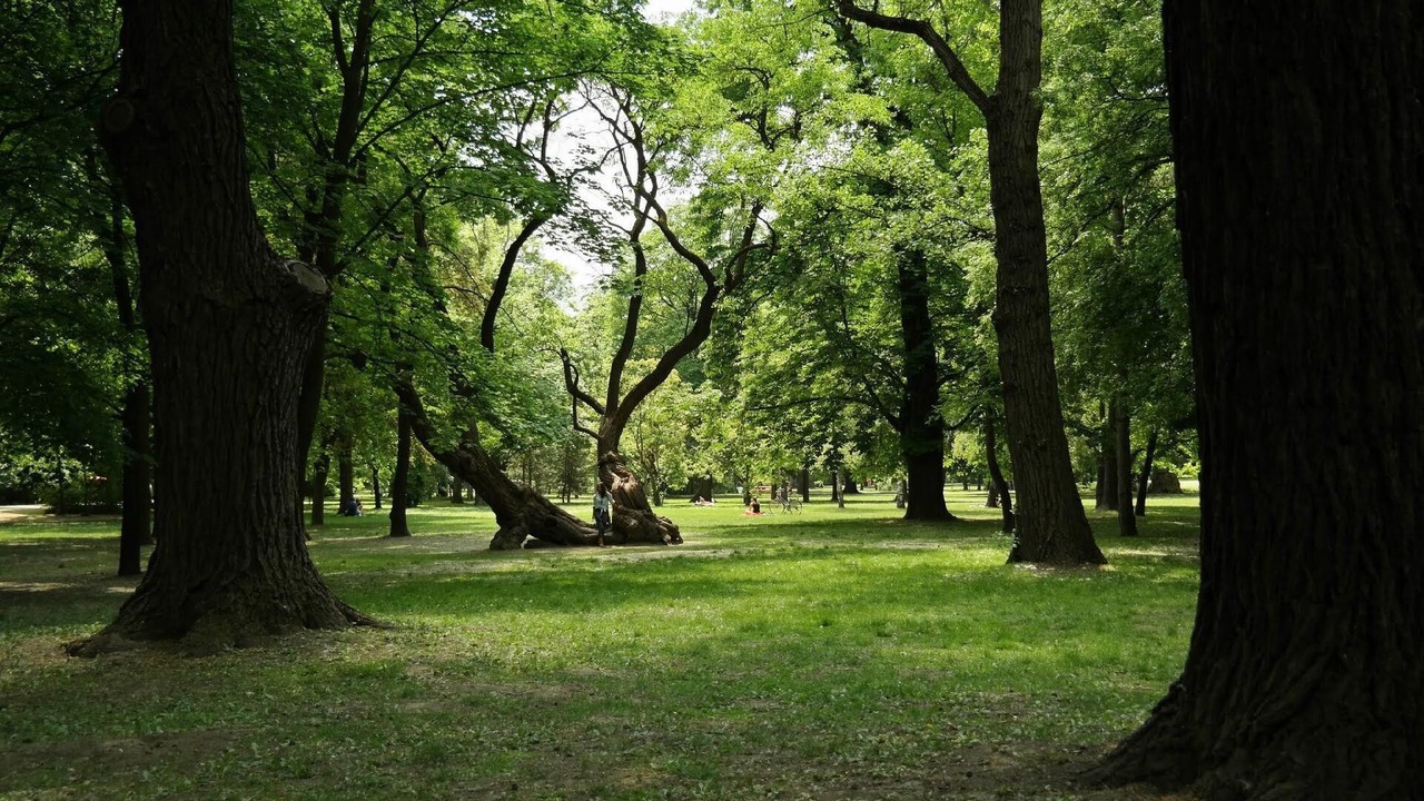 Photo of Others in Ujlipotvaros
