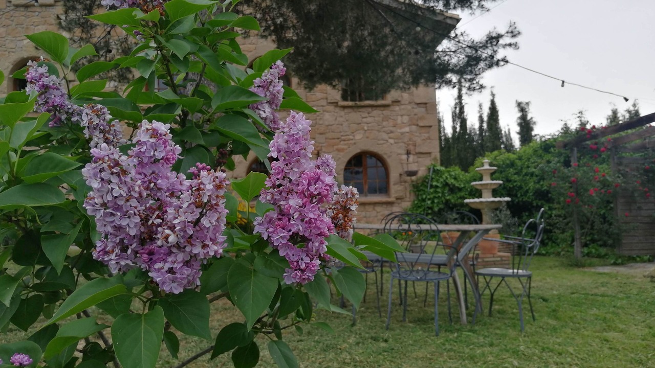 Photo of Outdoor in Fonollosa