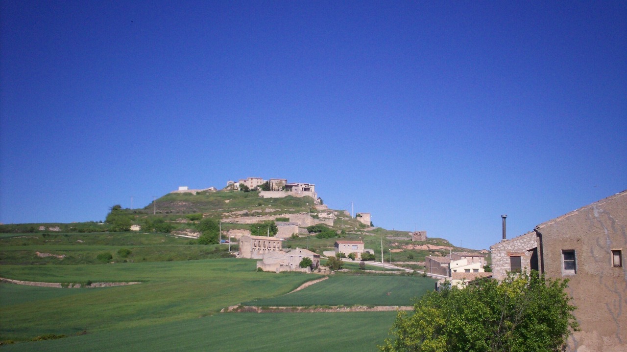 Photo of Others in Fores