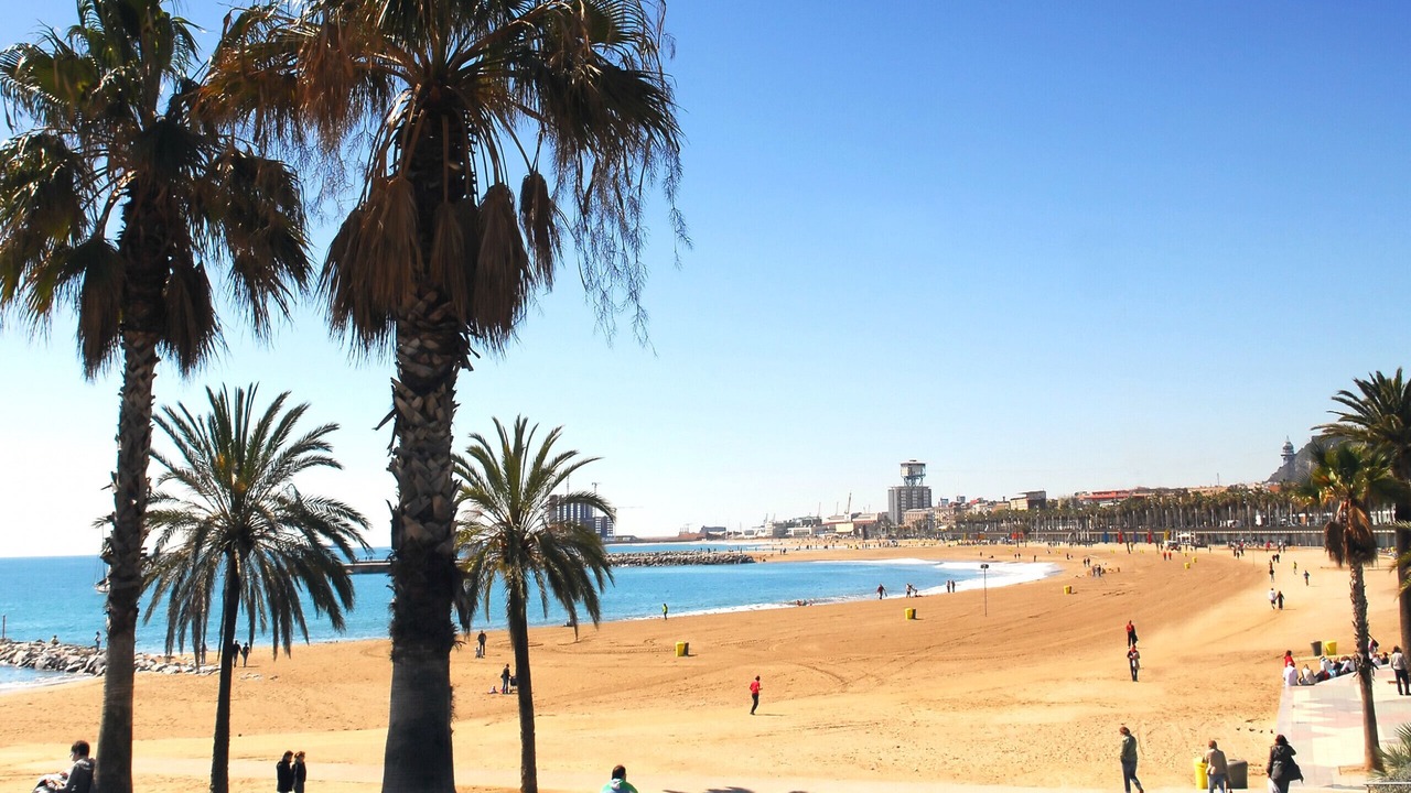 Photo of Others in Sant Antoni