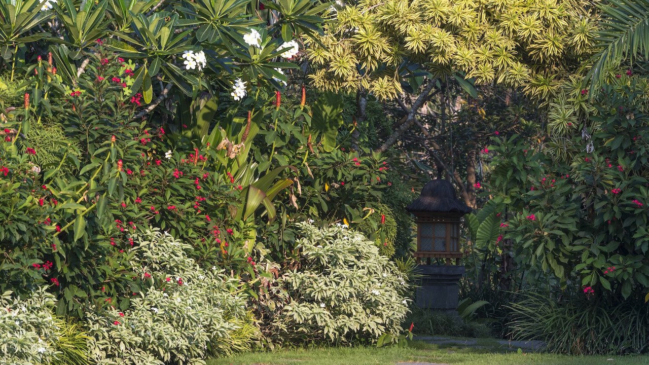 Photo of Outdoor in Seseh