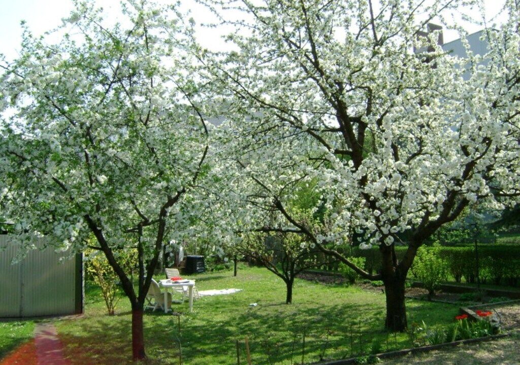 Photo of Outdoor in Zuglo