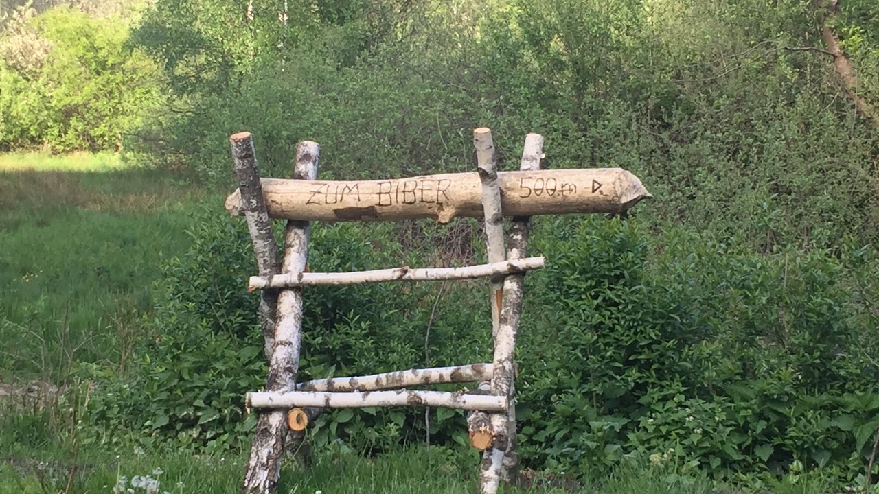 Photo of Outdoor in Goyatz