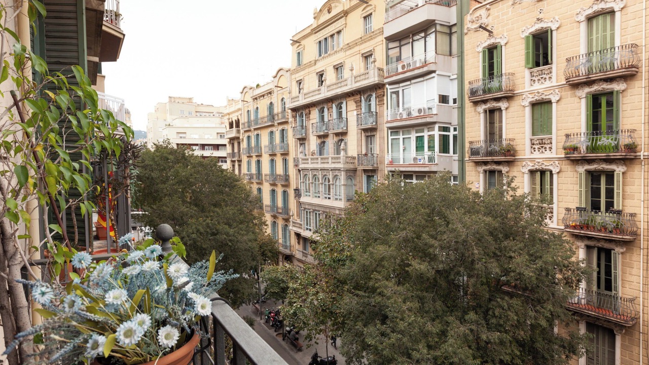 Photo of Outdoor in L'Antiga Esquerra de l'Eixample