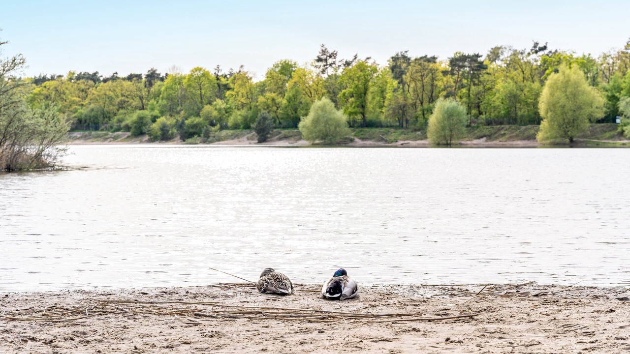 Photo of Others in Mahlsdorf