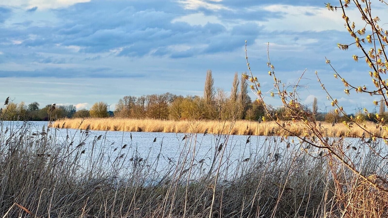 Photo of Others in Werder