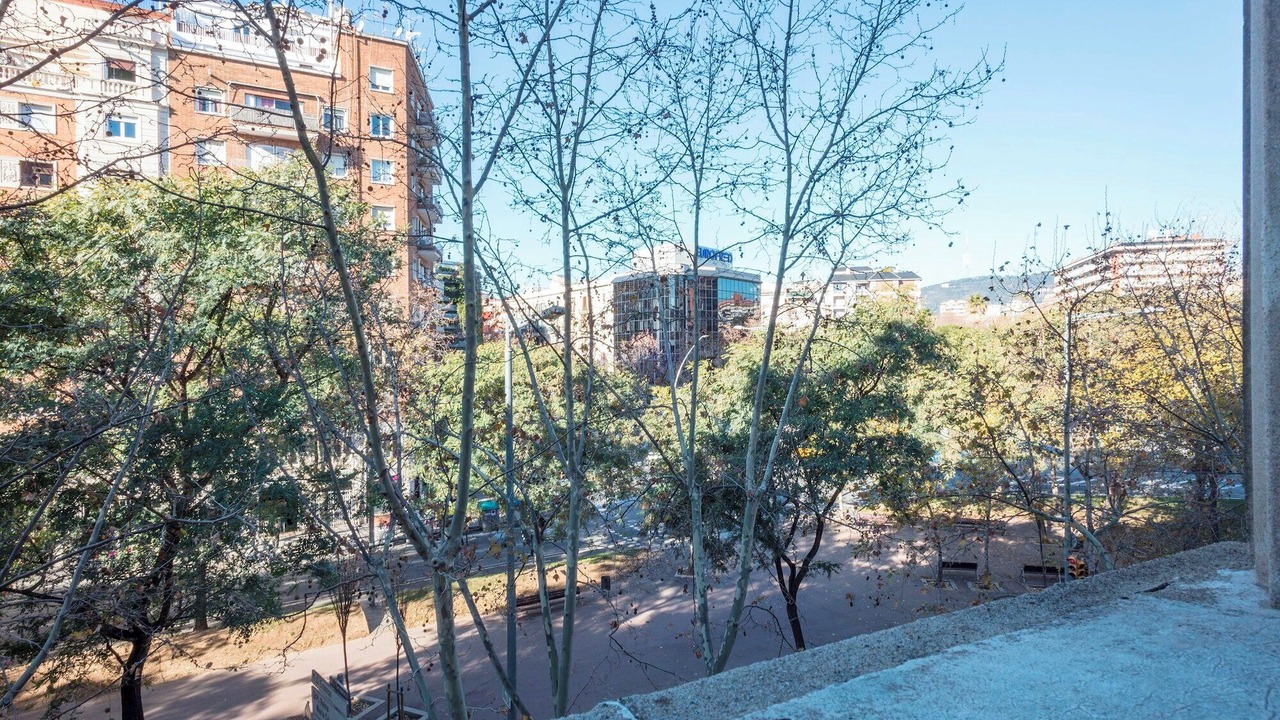 Photo of Outdoor in La Nova Esquerra de l'Eixample