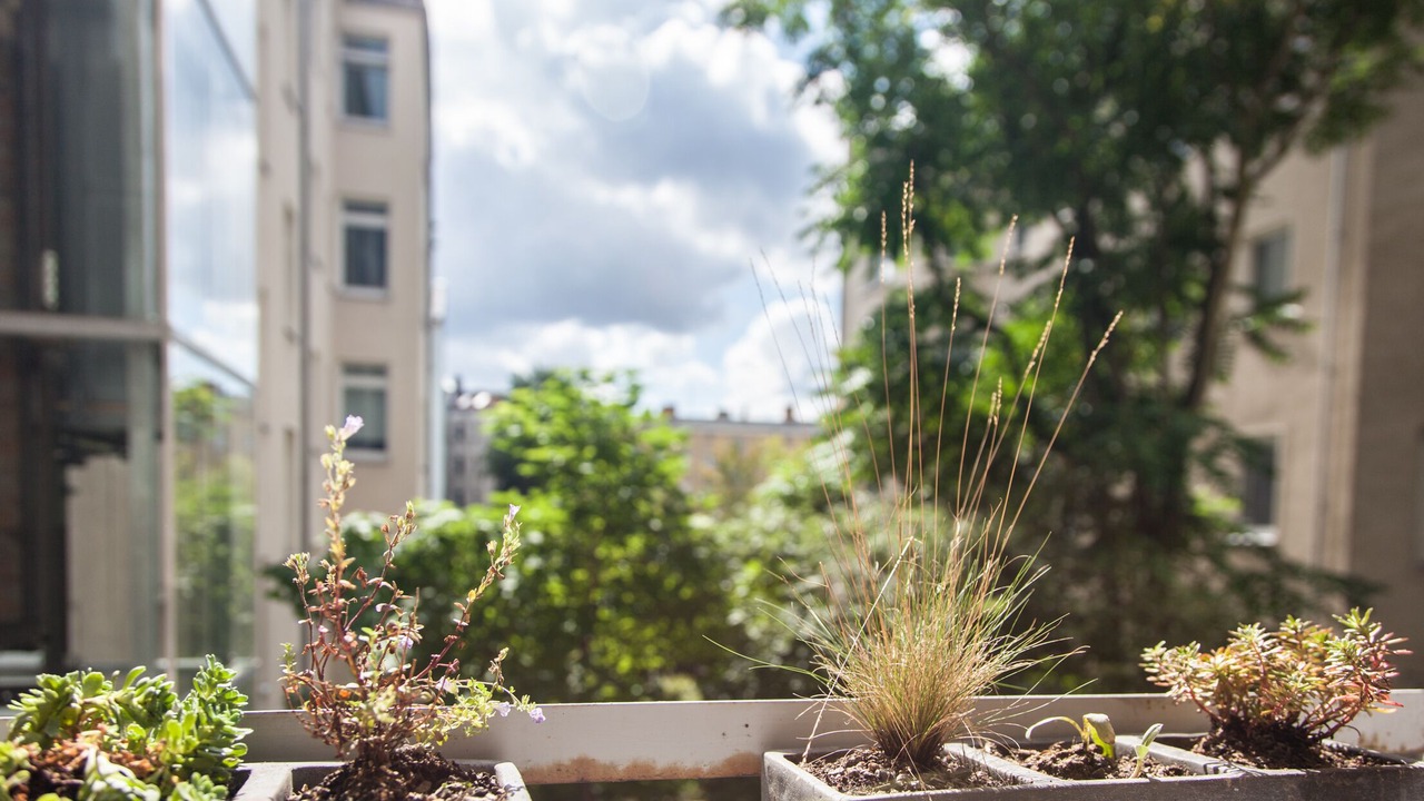 Photo of Outdoor in Prenzlauer Berg