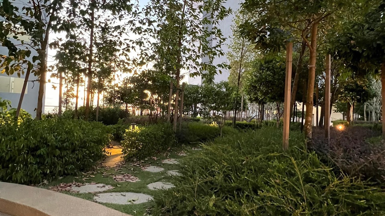 Photo of Outdoor in Kuala Langat District