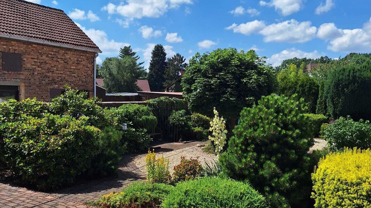 Photo of Outdoor in Senftenberg