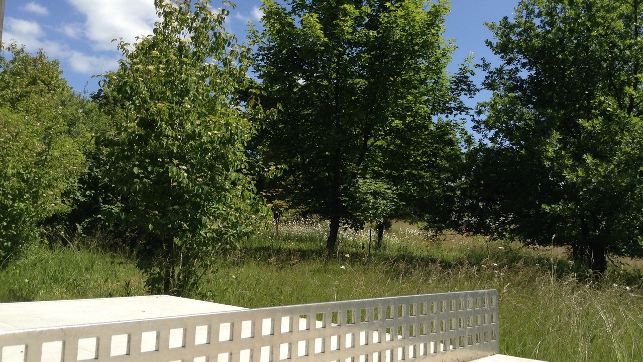 Photo of Outdoor in Randowtal