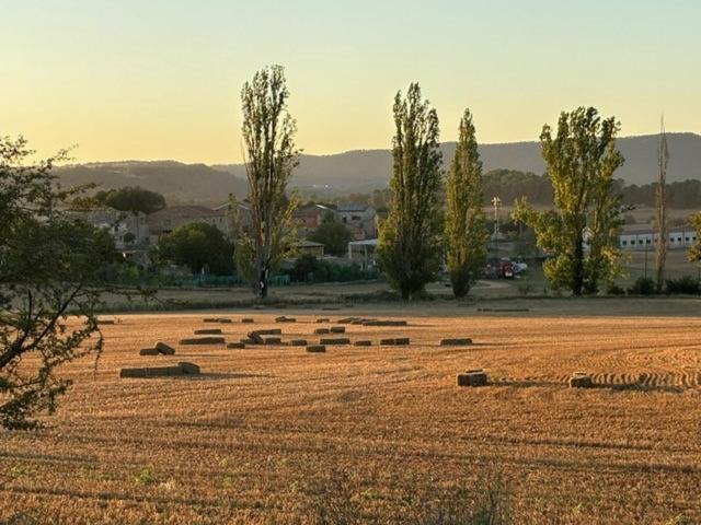 Photo of Others in Aguilar de Segarra