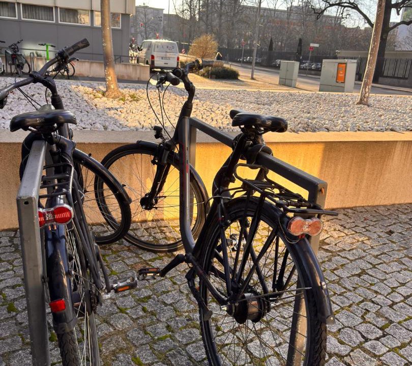 Photo of Others in Tiergarten
