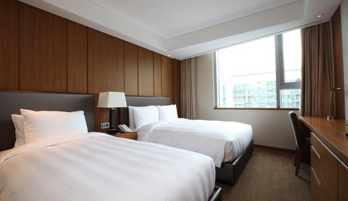 Family Twin Room (Superior)