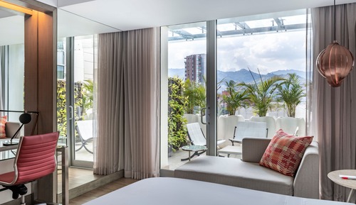 Room, 1 King Bed, Terrace
